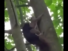 Sexo gay interracial