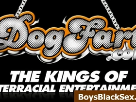 Blacks on boys - interracial porn gay videos - 19